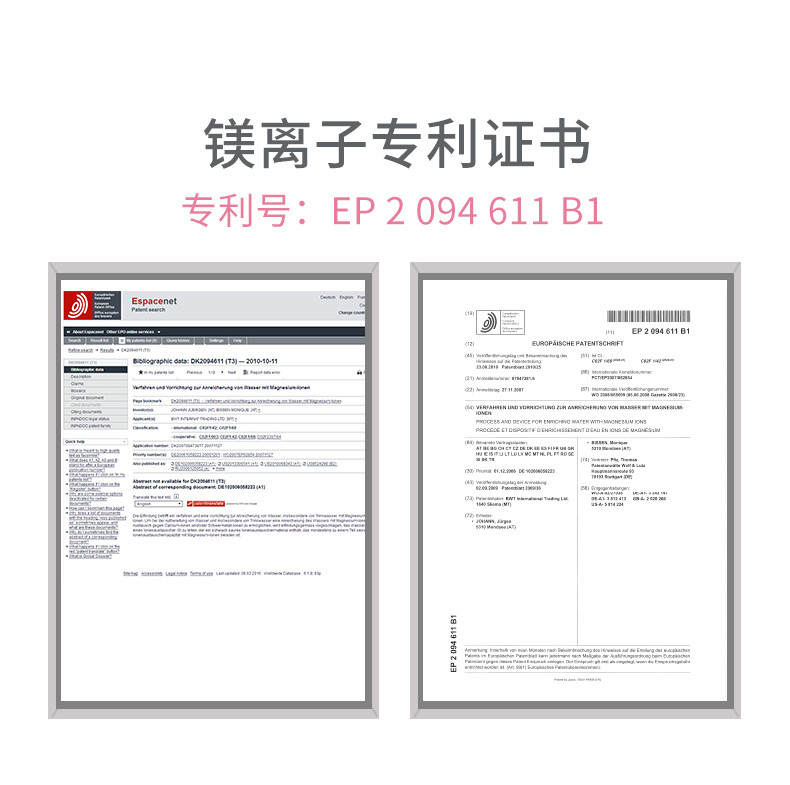 倍世（BWT） 家用滤水壶净水壶 欧洲进口过滤芯 思镁系列 3.6L  1壶1芯