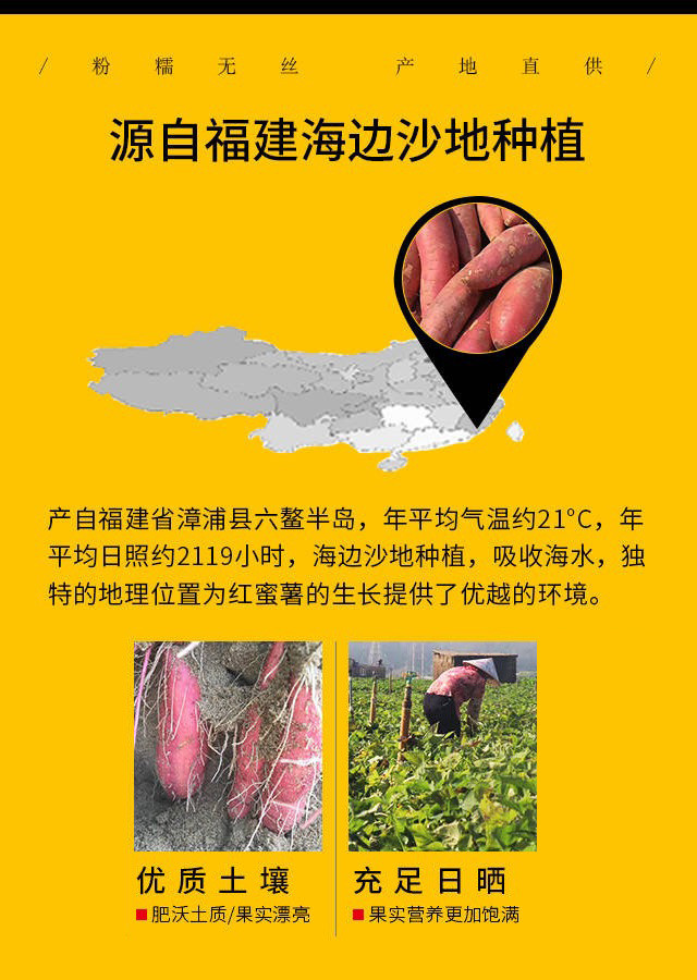 无名农夫 六鳌蜜薯新鲜沙地地瓜红心番薯香薯香糯蜜