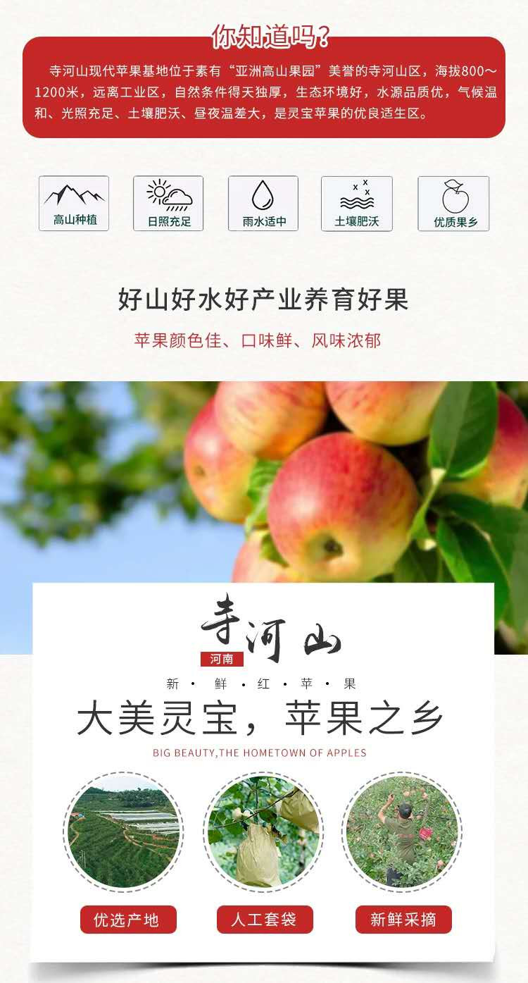 世苹 【河南邮政】寺河山红富士苹果90#（14-16）4.25kg