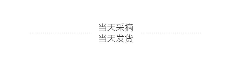 洪湖青泥巴 新鲜藕带1000g藕簪藕肠子小莲藕藕占藕苗湖北特产藕尖包邮