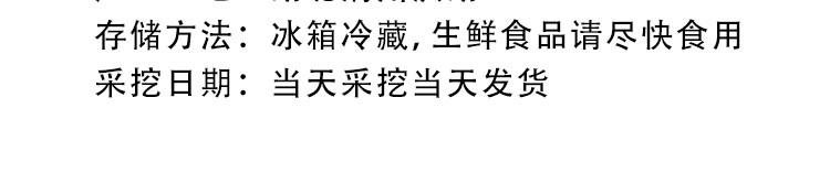 洪湖青泥巴 新鲜莲藕4斤脆藕新花藕2000g可以生吃的莲藕湖北藕泥巴藕