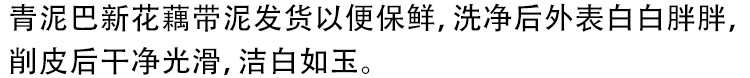 洪湖青泥巴 新鲜莲藕4斤脆藕新花藕2000g可以生吃的莲藕湖北藕泥巴藕