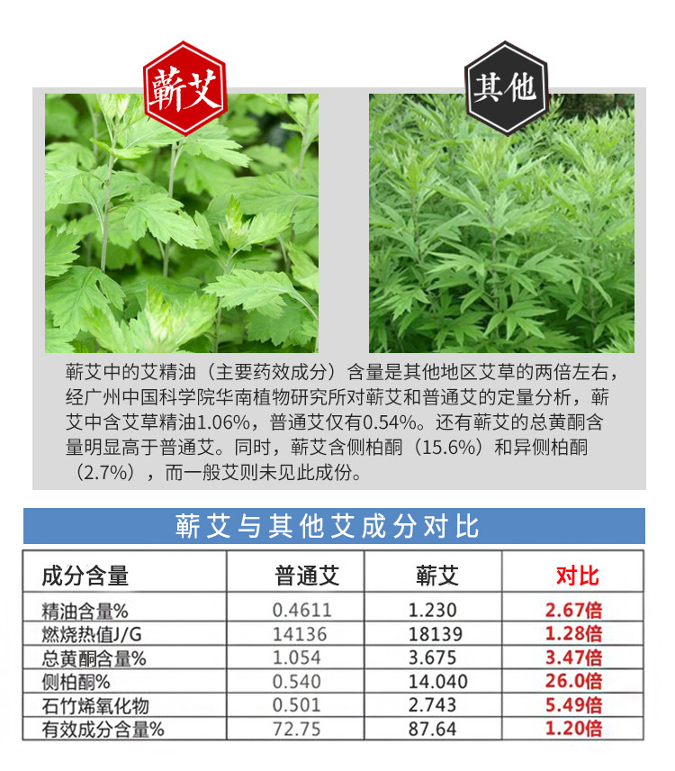 【蕲春】时珍验方 蕲艾蒸汽眼贴5片装