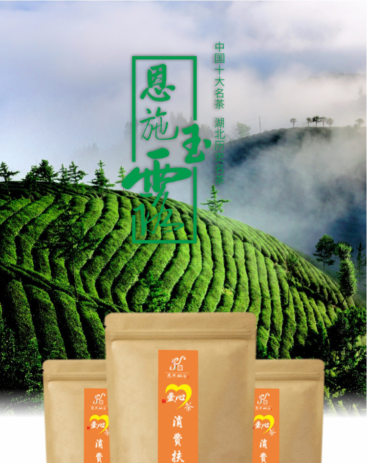 【恩施】茶喆-消费扶贫爱心茶•恩施玉露100g