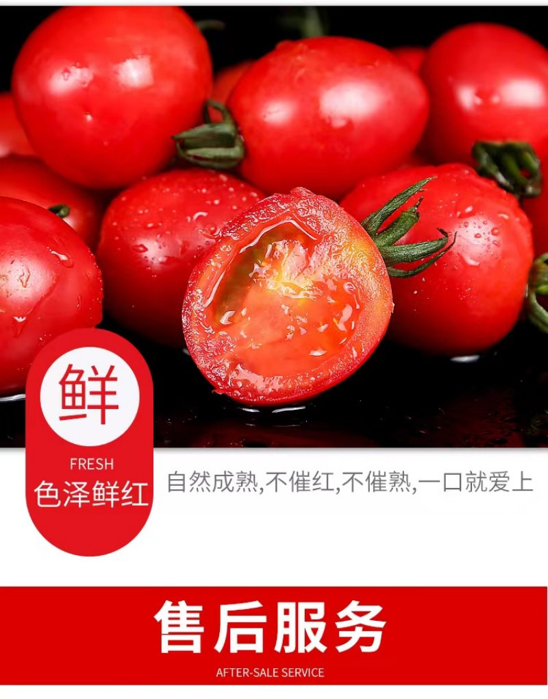 家佳惠 【领券立减】千禧圣女果 千禧6号2斤装 小西红柿 樱桃番茄