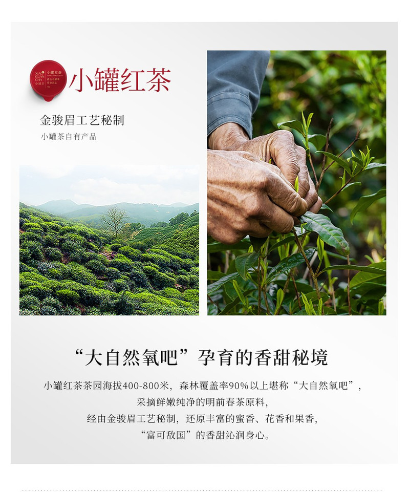 小罐茶 银罐20罐拼装礼盒清香浓香铁观音红茶大红袍四款茗茶经典搭配