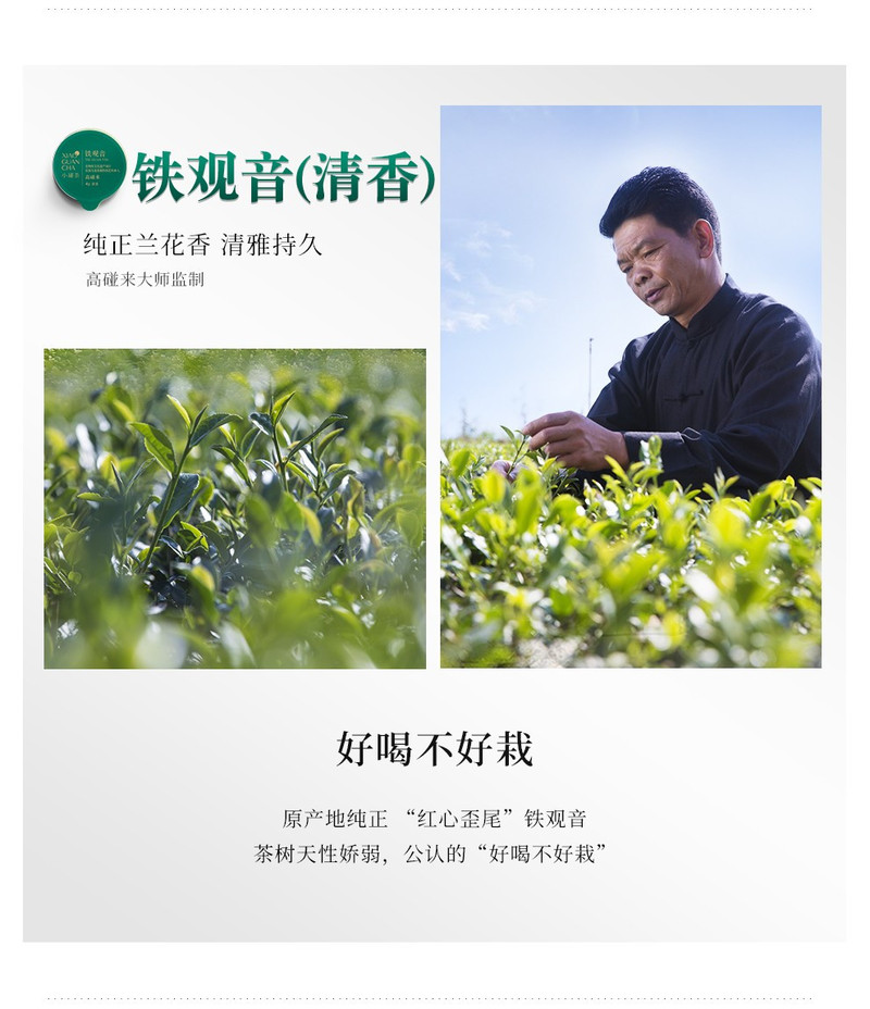 小罐茶 银罐20罐拼装礼盒清香浓香铁观音红茶大红袍四款茗茶经典搭配