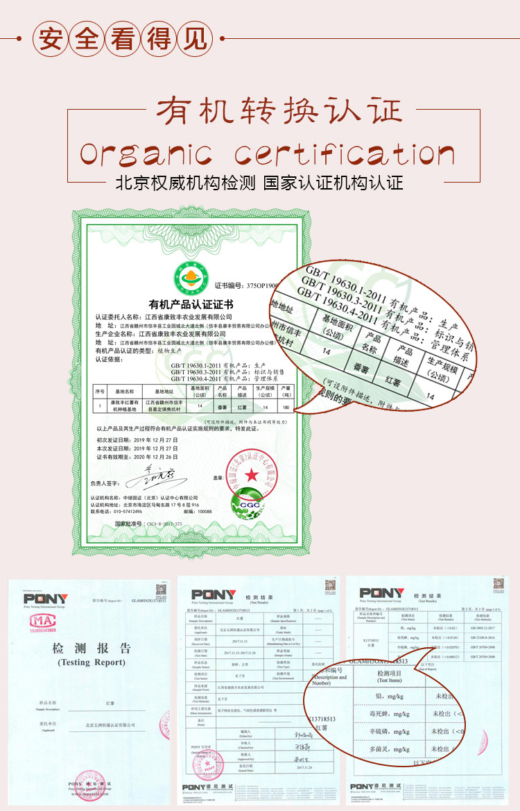 康致丰 康丰薯标蜜薯信丰特产 超甜 农家自种