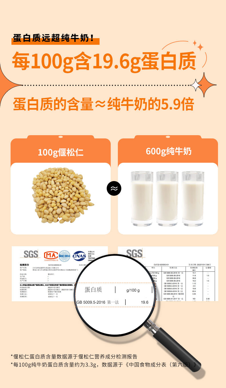 塔哈尔河 野生偃松仁250g