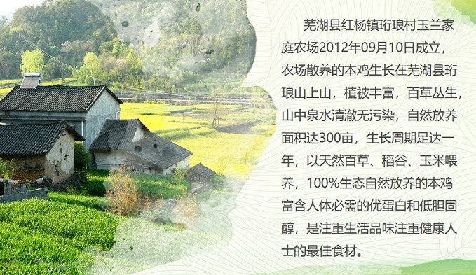 农家自产 珩琅山乌鸡蛋