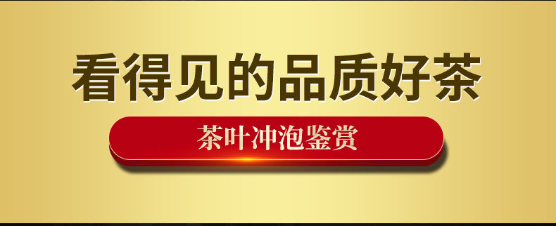 送茶水分离杯】安溪铁观音茶叶浓香新茶一斤礼盒装铁观音罐装250g