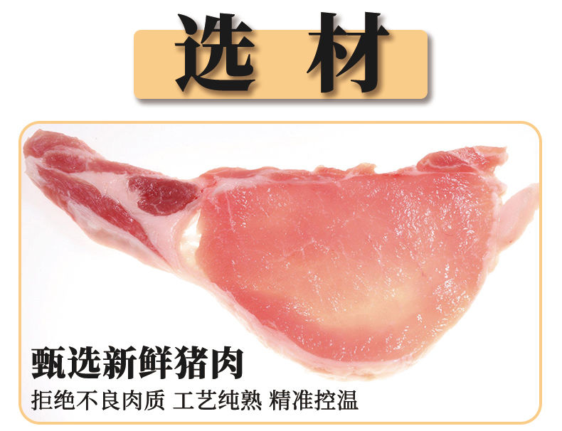 靖江猪肉脯1斤/500g肉类网红零食小吃的猪肉干100g休闲食品大礼包