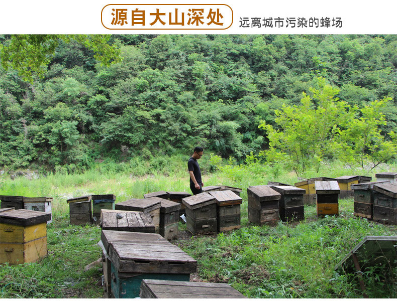 蜂巢蜜500g嚼着吃盒装非野生荆条蜂蜜老蜂巢蜂窝蜜土峰巢蜂巢