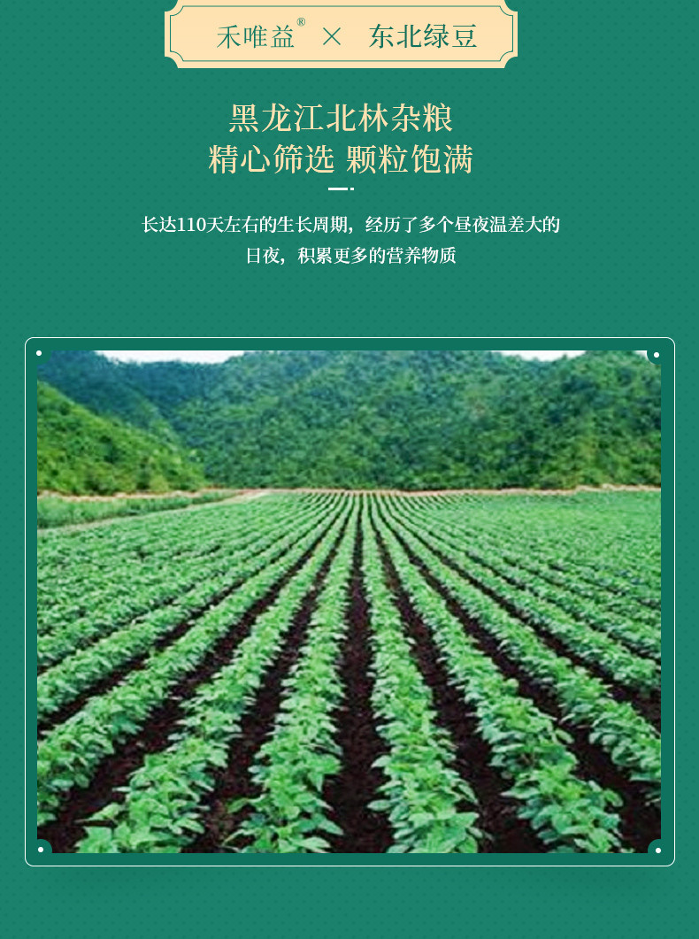 【东北杂粮】禾唯益绿豆东北粗粮五谷杂粮新绿豆可做绿豆汤500g*2袋