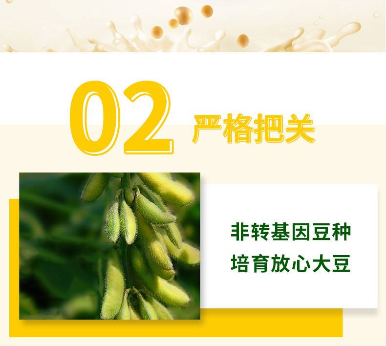 龙王 豆浆粉升级版新包装 特惠活动