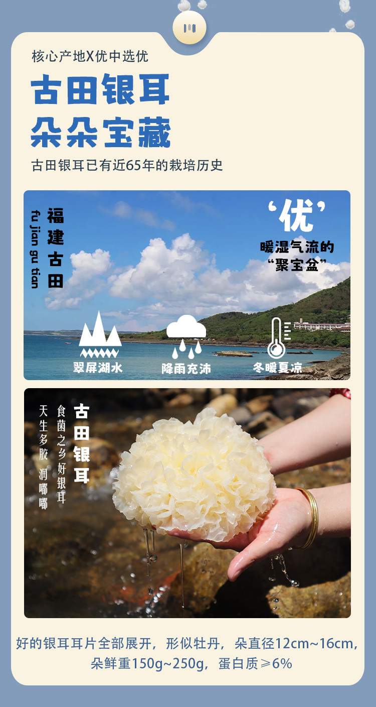 九养芝 益生菌银耳原浆