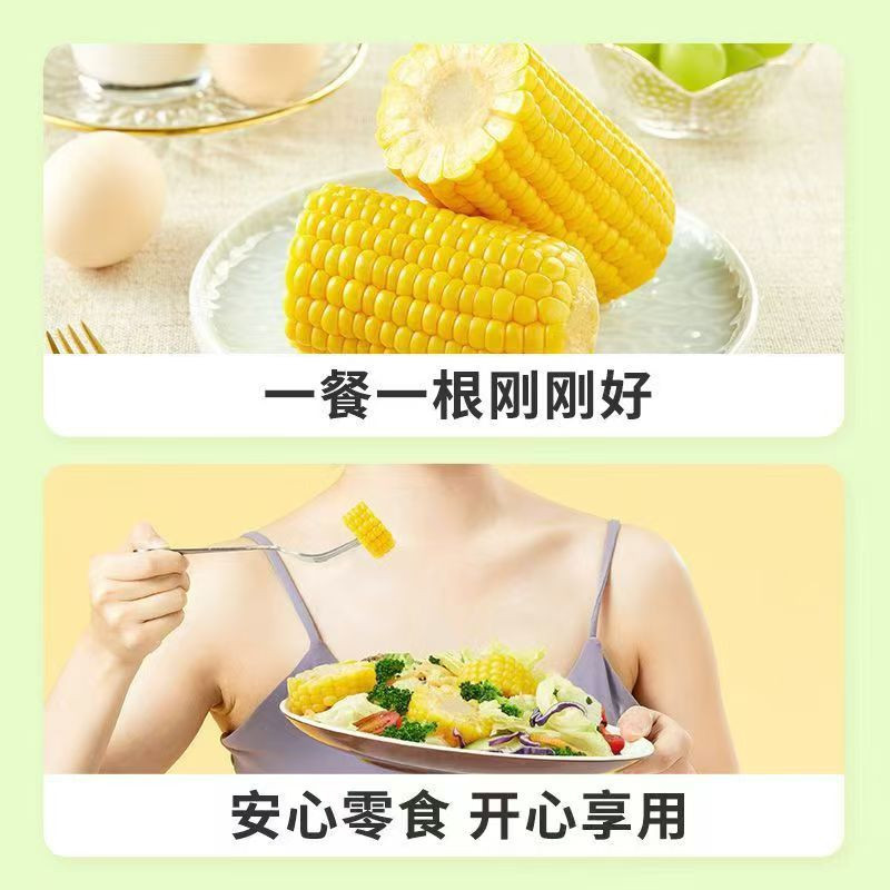 金粮旺九 黑龙江黄小九鲜食玉米