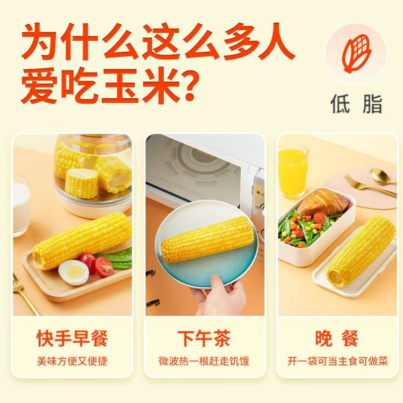 金粮旺九 黑龙江黄小九鲜食玉米