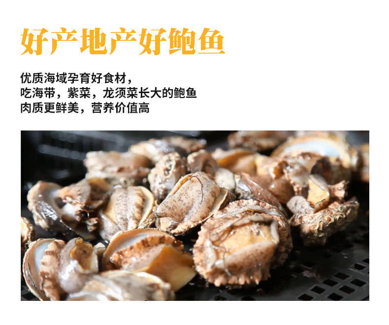 【领券立减40元】鲍鱼干鲍鱼干货佛跳墙煲汤食材滋补海鲜小鲍鱼干鲍鱼