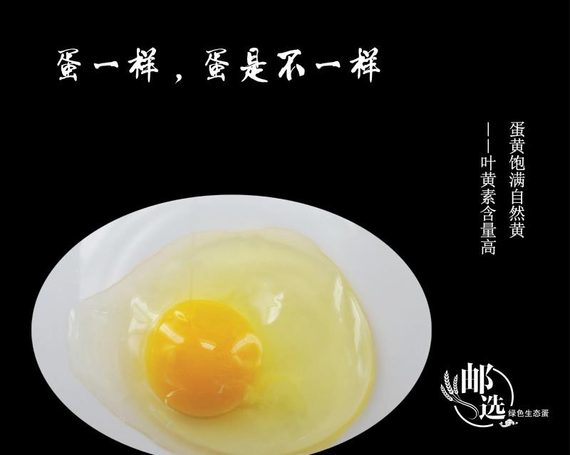 【精品项目】大庆中农兴禾绿色生态鸡蛋30枚/盒