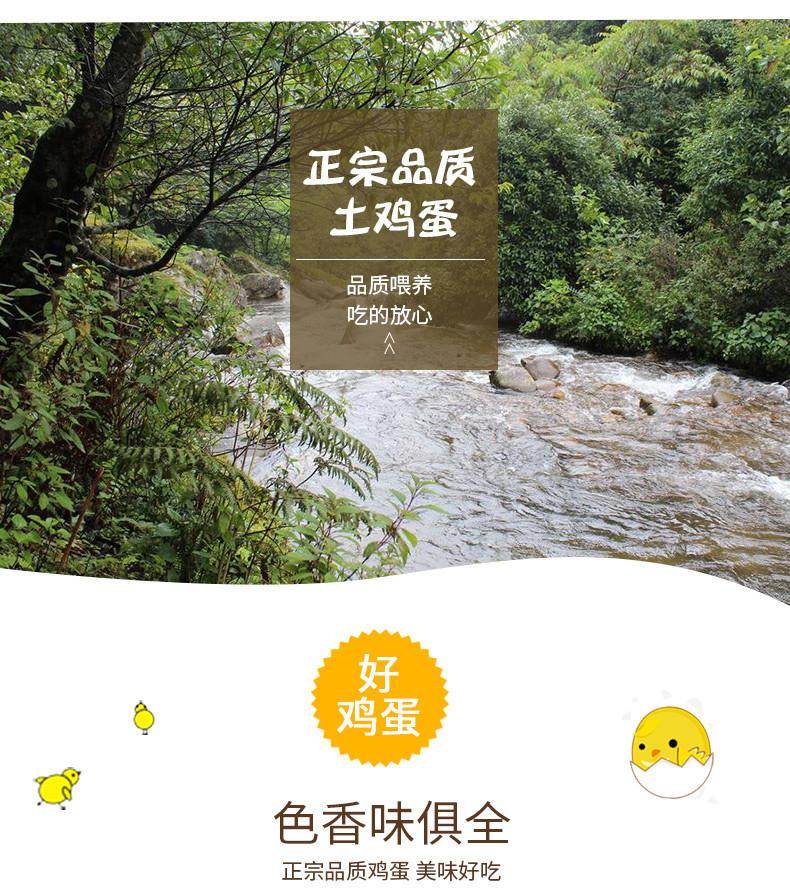 罗山绿山窝 土鸡蛋50枚散养绿色土鸡蛋良心蛋放心蛋