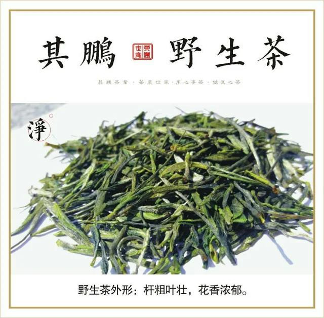 其鹏 信阳特产信阳毛尖其鹏有机名茶—野生茶125g