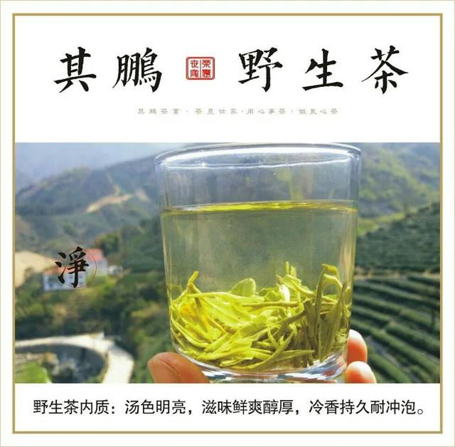 其鹏 信阳特产信阳毛尖其鹏有机名茶—野生茶125g