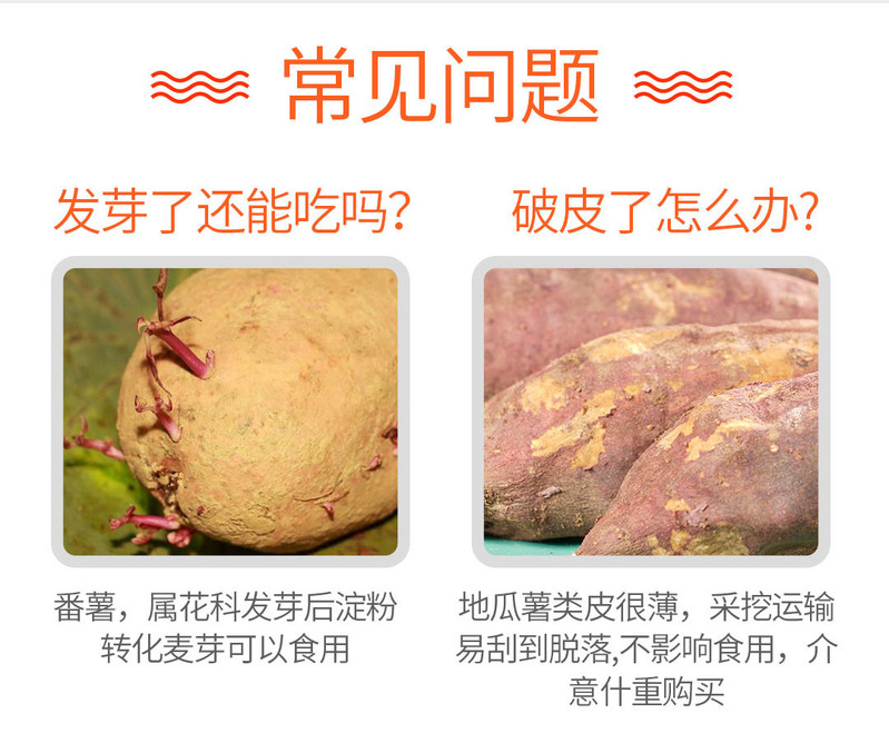 【邮政助农】新鲜西瓜红蜜薯5斤（含包装）沙地现挖红薯农家自种番薯地瓜