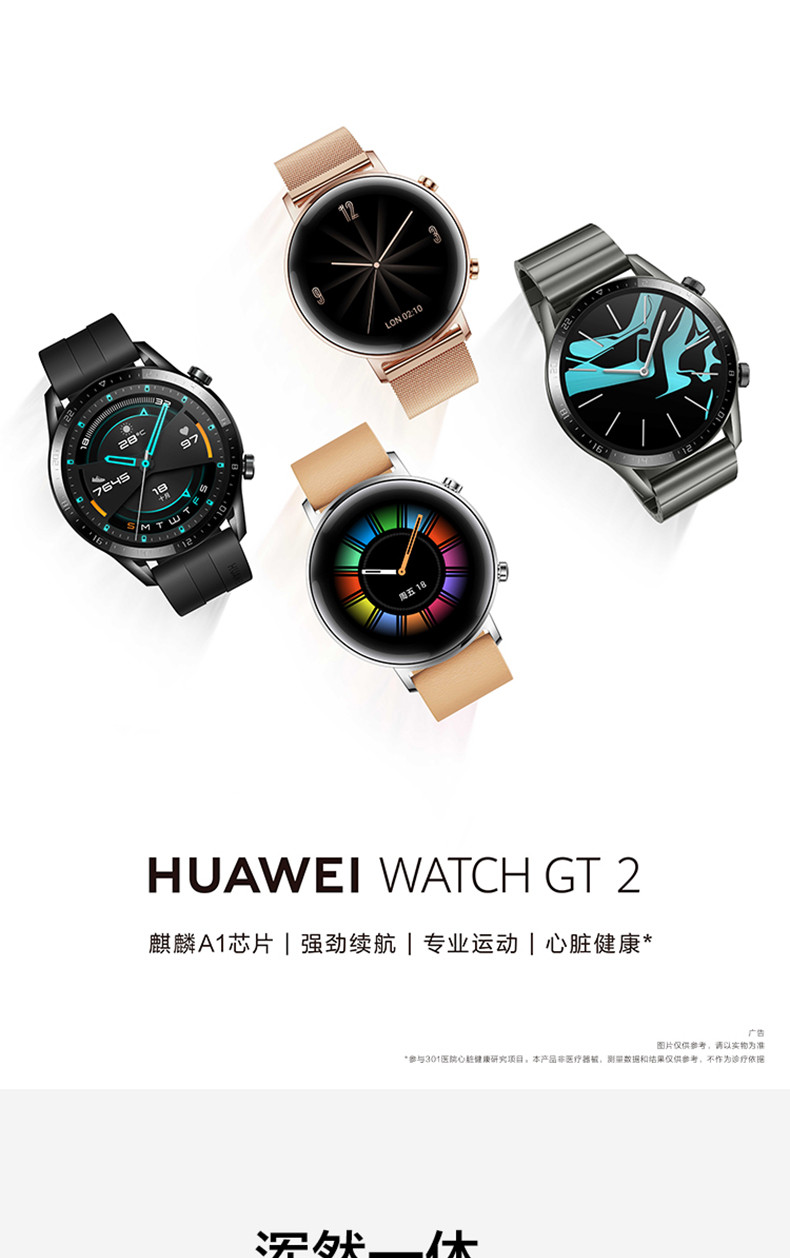 华为/HUAWEI WATCH GT 2