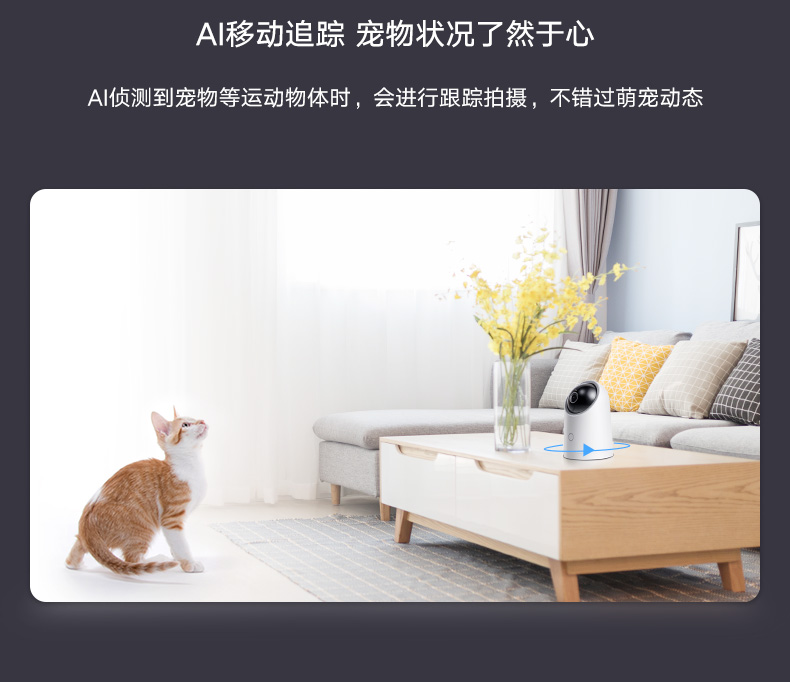 华为/HUAWEI 华为智选生态产品 海雀AI摄像头 云台超清版