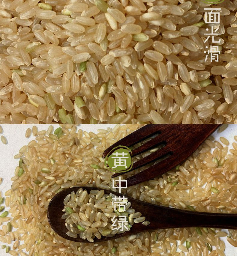 息县特产糙米450g/袋*2新糙米胚芽米玄米东北杂粮粥饭五谷杂粮