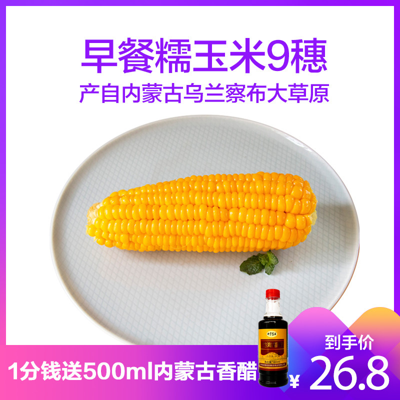 【邮政助农】内蒙古乌兰察布糯玉米9穗 开袋加热即食