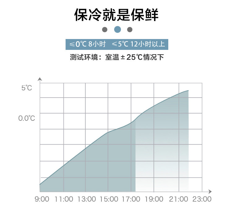 aardman妈咪包背奶包储奶冰包冰盒保鲜包上班背奶母乳冷藏包防水HY-2068