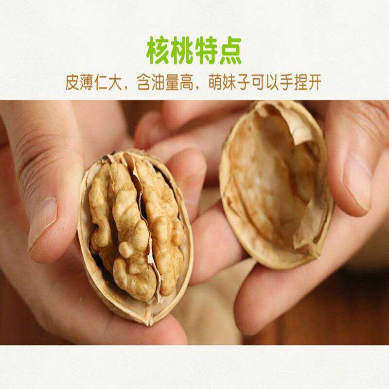 【新疆特产】薄皮核桃阿克苏孕妇零食新货原味核桃批发