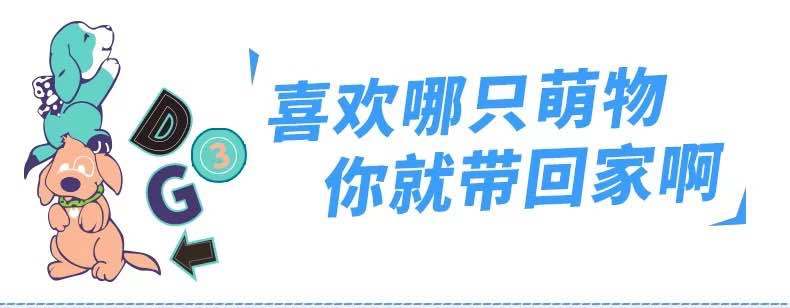 【可爱猫咪狗狗马摆件】仿真汽车用香味净化空气除甲醛异味竹炭包礼物