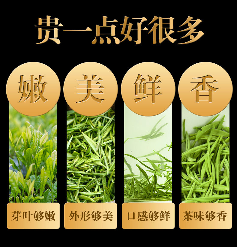 信阳毛尖2020新茶毛尖茶叶云雾绿茶明前春茶高山绿茶罐装礼盒125g