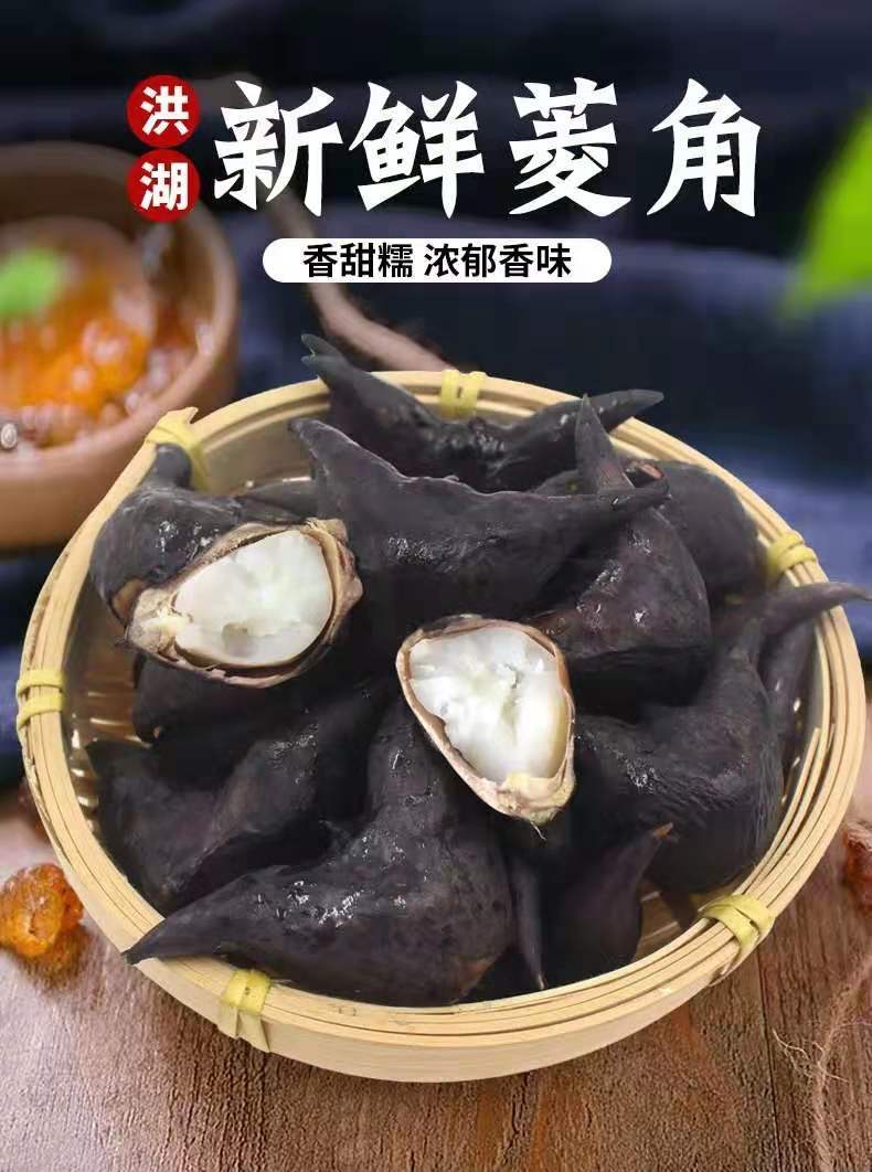 湖北新鲜洪湖特产菱角两角菱角莲角粉糯带壳现摘现卖5/3斤多规格