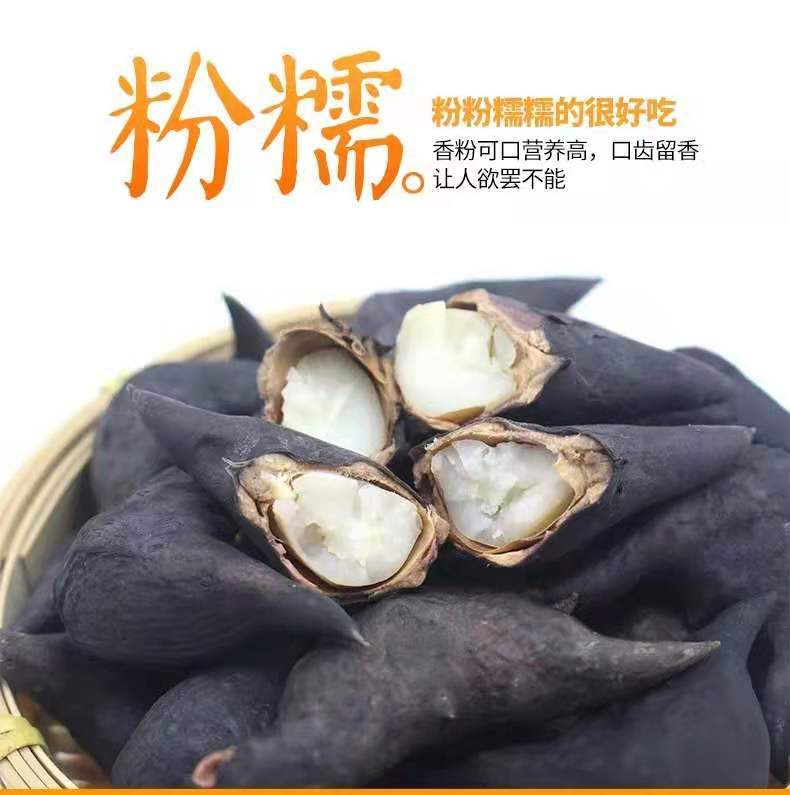 湖北新鲜洪湖特产菱角两角菱角莲角粉糯带壳现摘现卖5/3斤多规格