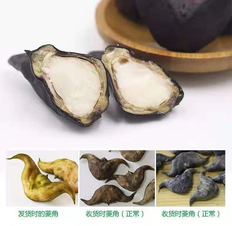 湖北新鲜洪湖特产菱角两角菱角莲角粉糯带壳现摘现卖5/3斤多规格