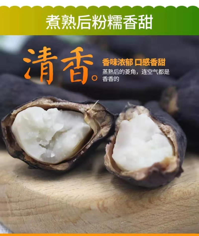 湖北新鲜洪湖特产菱角两角菱角莲角粉糯带壳现摘现卖5/3斤多规格