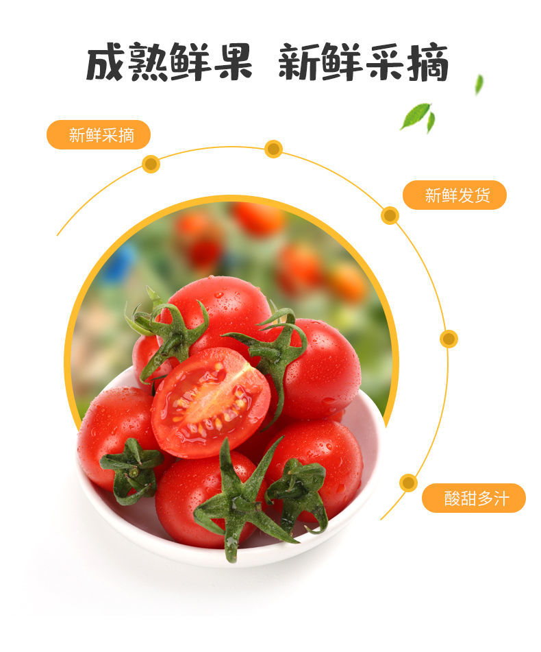 圣女果小西红柿番茄水果新鲜蔬菜应季水果整箱批发5斤GG