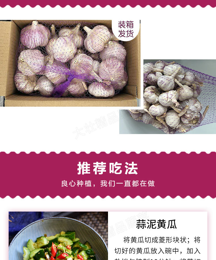 【超低价】河南杞县新干蒜大蒜头批发干蒜紫皮大蒜白皮干大蒜精品