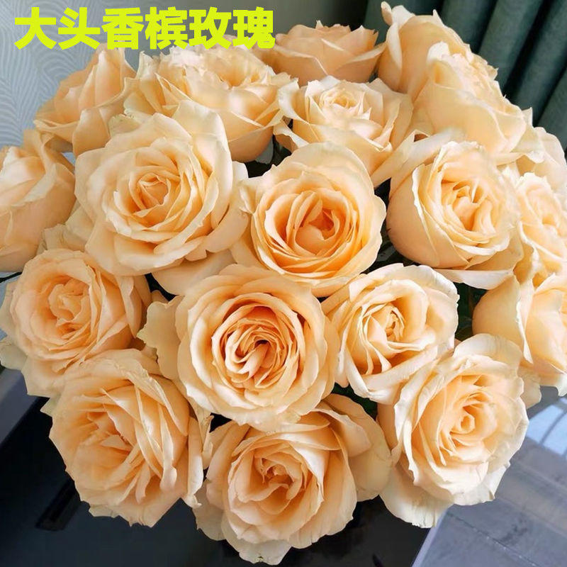 云南昆明基地直发真花水养鲜花束香水百合批发玫瑰家用教师节礼物