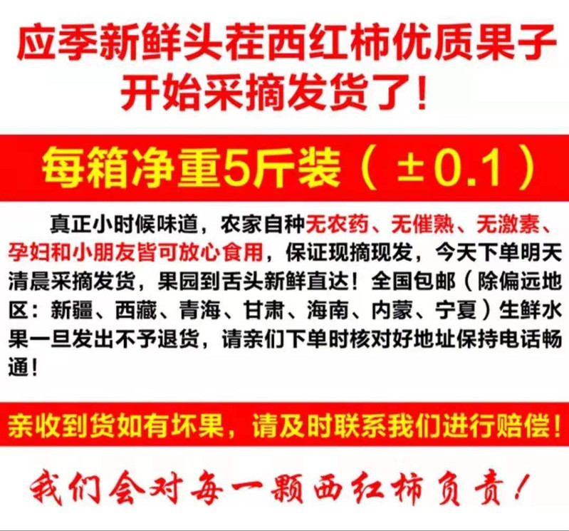 山东现摘新鲜西红柿大番茄沙瓤粉柿子水果孕妇儿无公害自然熟蔬菜