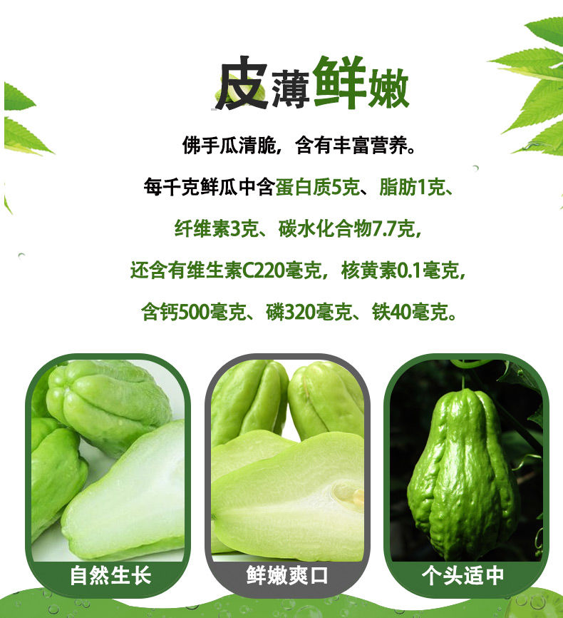 云南佛手瓜洋瓜丰收瓜新鲜蔬菜即食应季农家蔬菜包邮