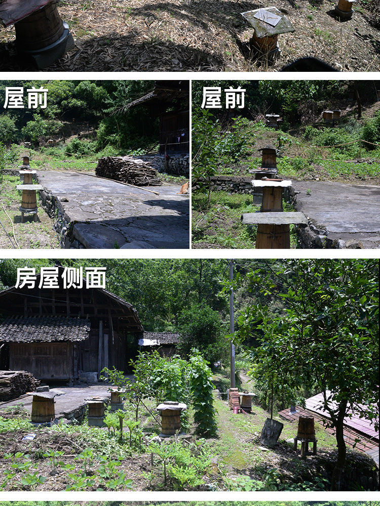 【领劵减5元】农家土蜂蜜 野生纯天然深山百花蜜 土蜂蜜原蜜 自然成熟封盖土蜂蜜 多种规格可选