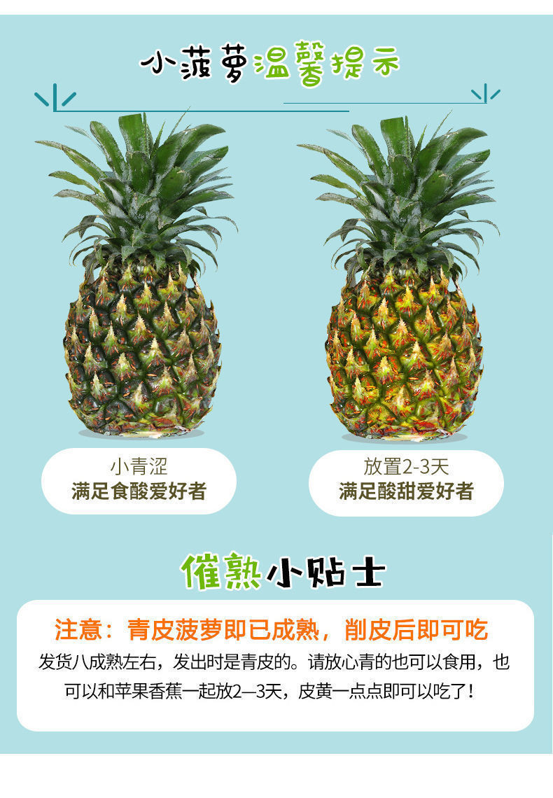 【领劵减5元】金钻凤梨新鲜 当季香水菠萝无眼手撕凤梨热带水果树上熟菠萝 多种规格可选 全国多仓发货