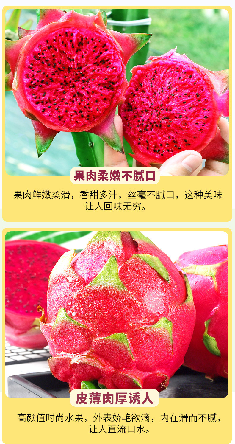 红心火龙果 新鲜当季整箱水果 红肉蜜宝水果