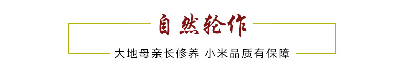 山西黄小米米脂米砖五谷杂粮农家小黄米2019新米2kg真空包装