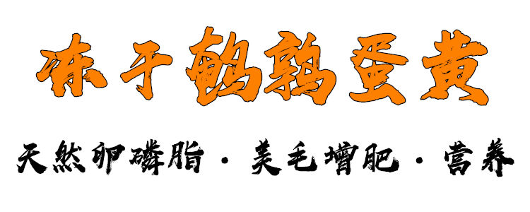 冻干鹌鹑蛋黄猫咪狗零食纯鹌鹑蛋黄冻干粮增肥营养爆美毛宠物零食